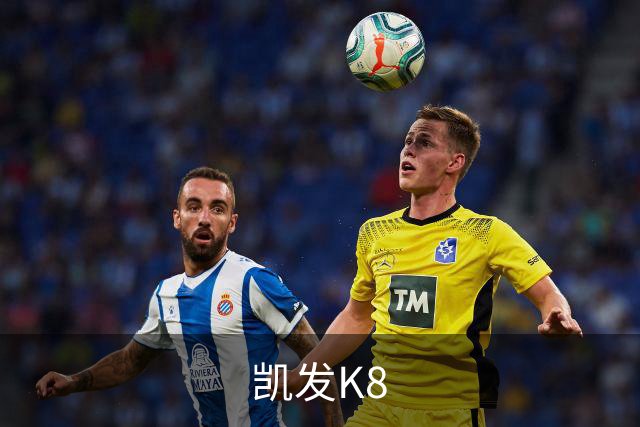 凯发K8公司介绍